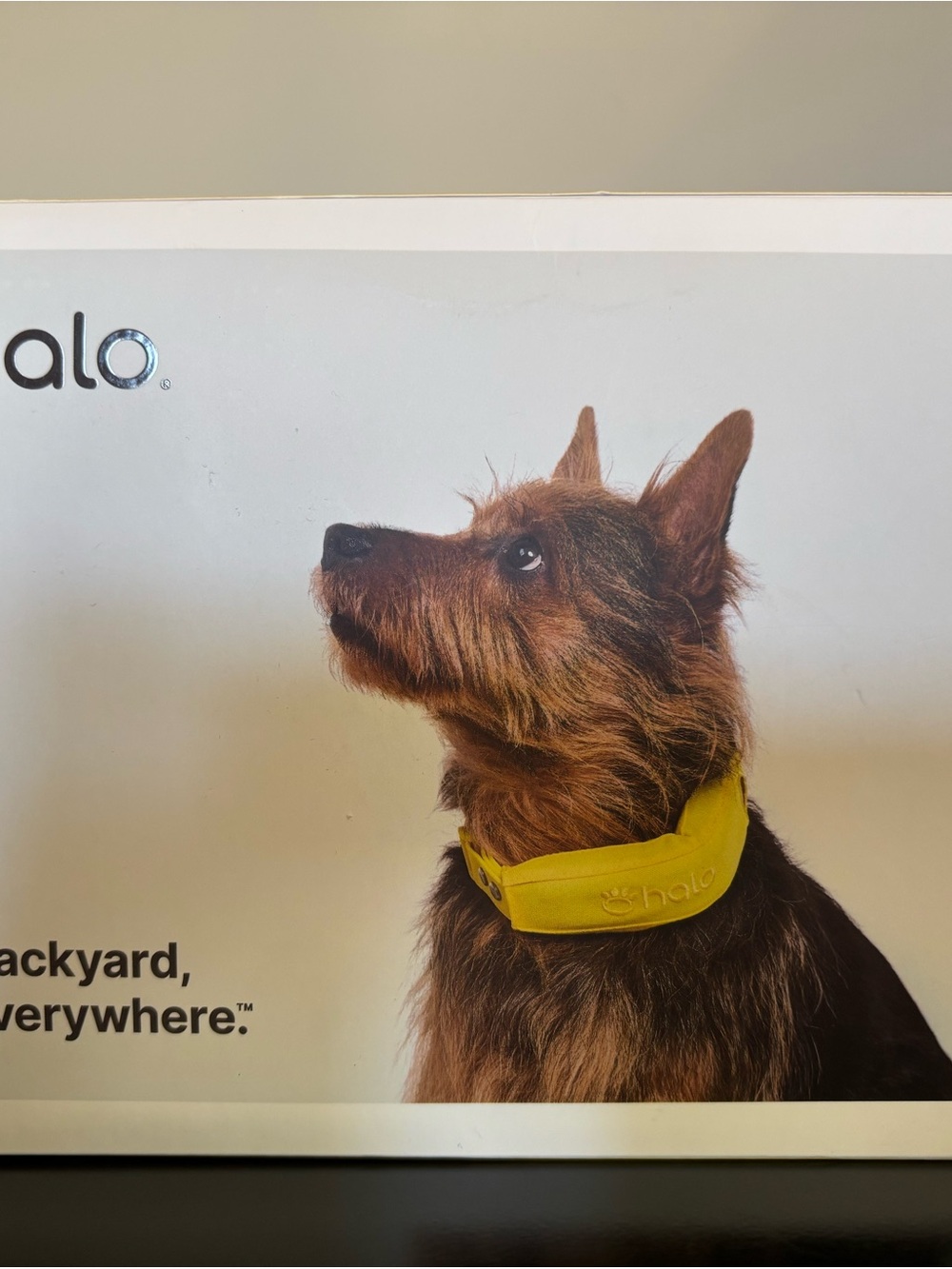Halo Brown GPS Dog Collar 4 - Picture 2 of 4